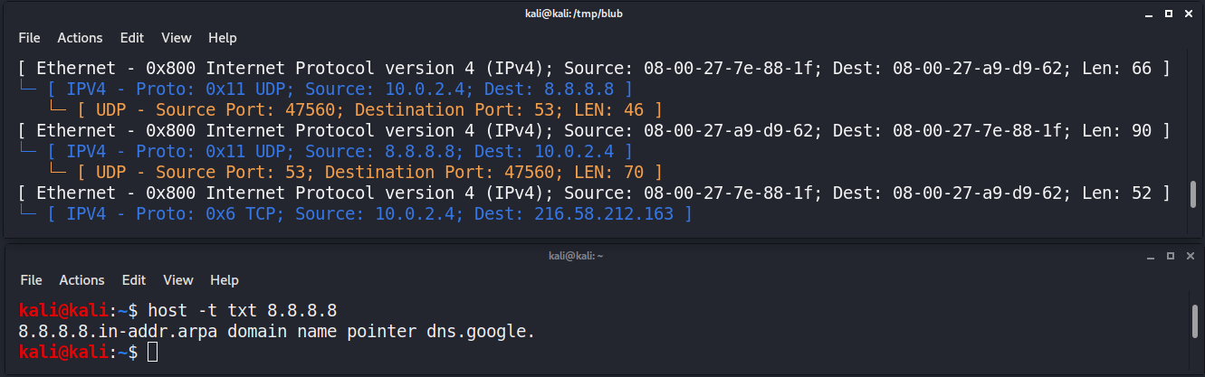 DNS UDP Datagrams