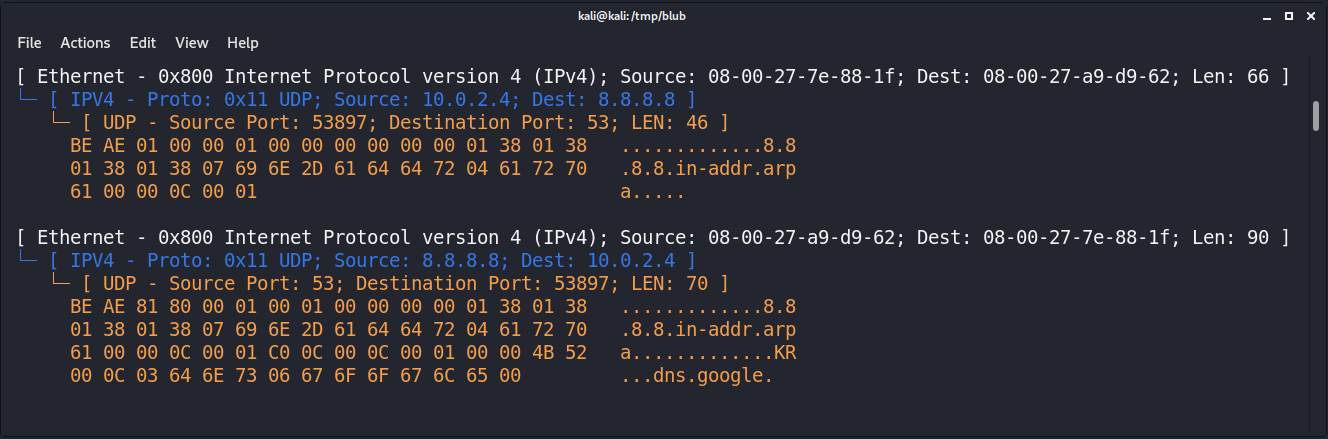 UDP Payload Hexdump