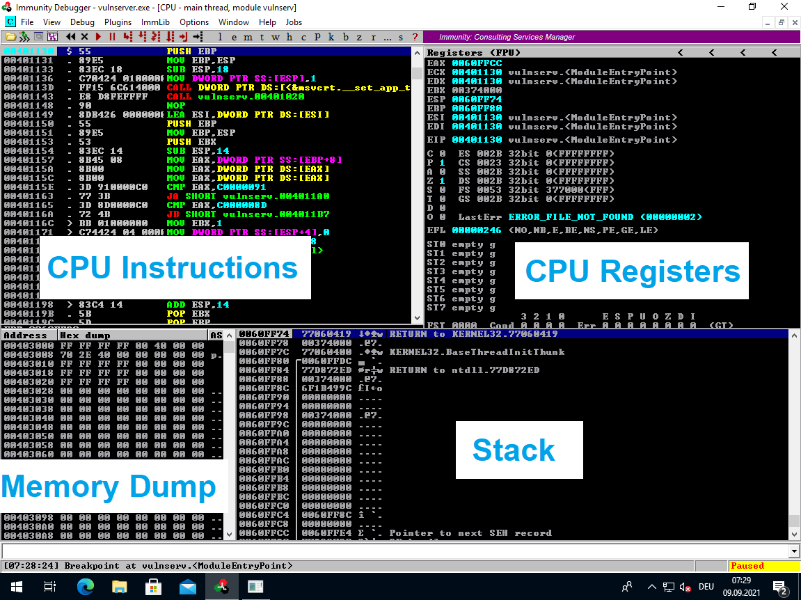 Immunity CPU View